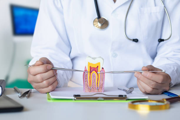 Best Emergency Root Canal Treatment in Newburgh, IN